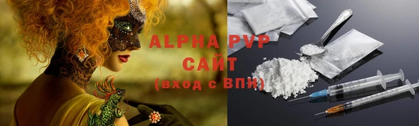 гидра Бородино