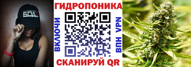 сколько стоит  Карабаш  Конопля семена 